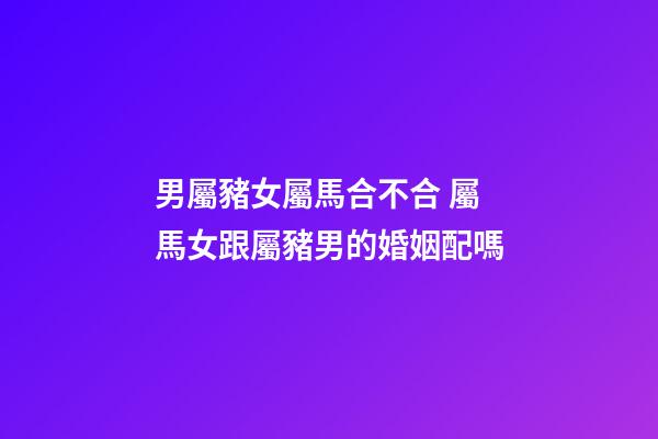 男屬豬女屬馬合不合 屬馬女跟屬豬男的婚姻配嗎-第1張-觀點(diǎn)-玄機(jī)派